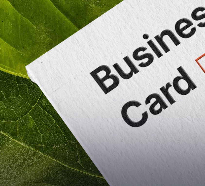 Green business card (Demo)